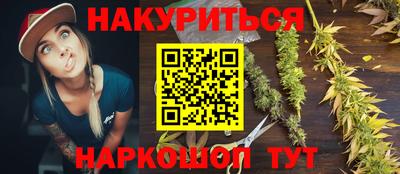 крисы Новокубанск
