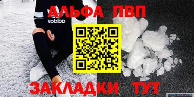 крисы Новокубанск