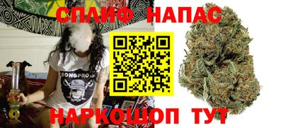 крисы Новокубанск
