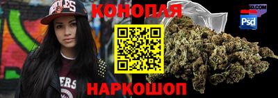 крисы Новокубанск