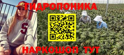 2c-b Новозыбков