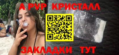 крисы Новокубанск