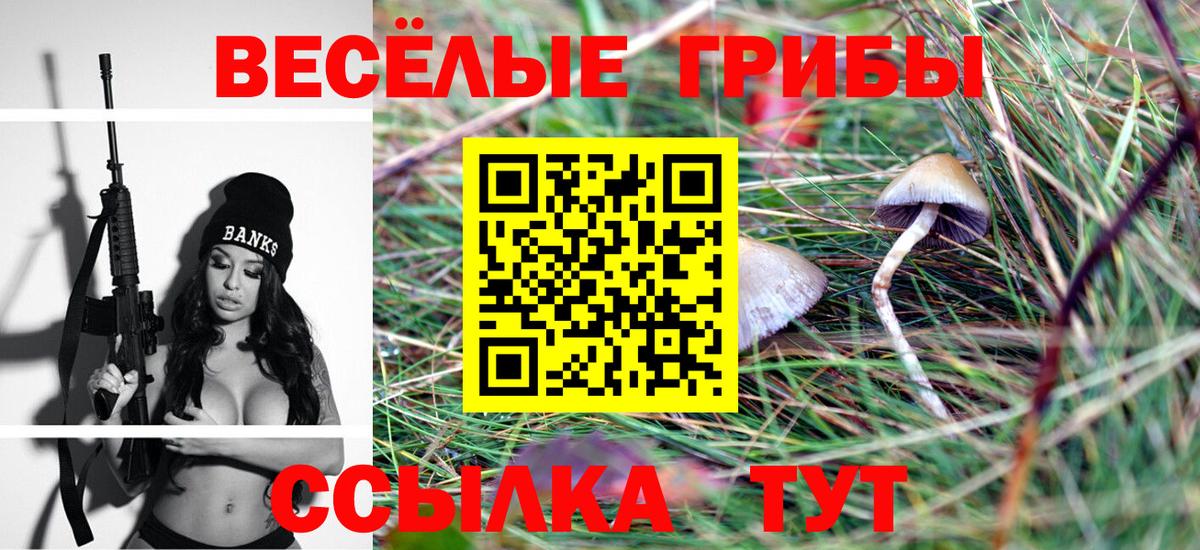 Галлюциногенные грибы Psilocybine cubensis  Вход с VPN  Нягань 